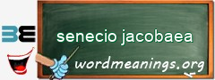 WordMeaning blackboard for senecio jacobaea